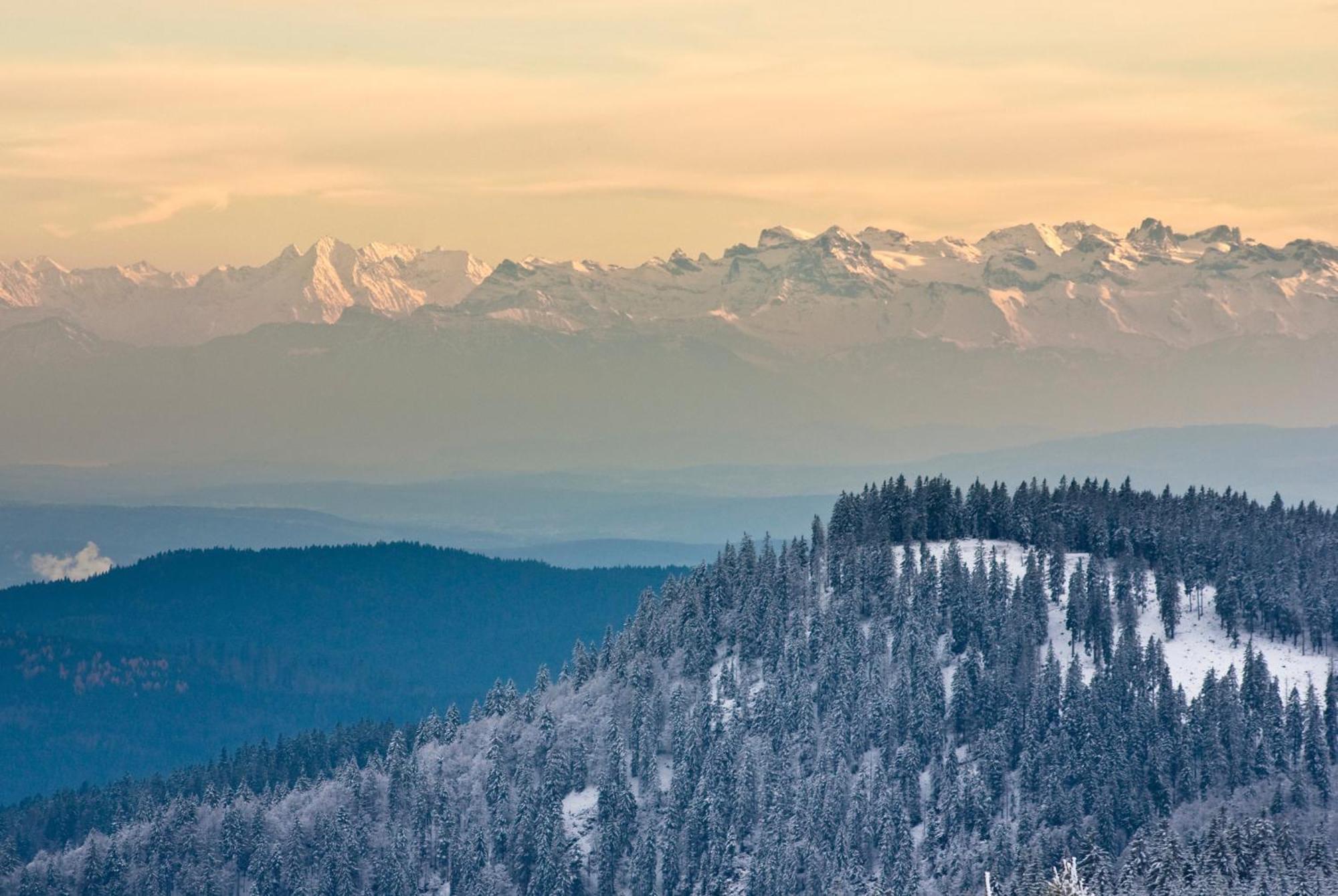 Апартаменты Residenz Grafenmatt "Abendsonne", Feldberg Rinken Экстерьер фото