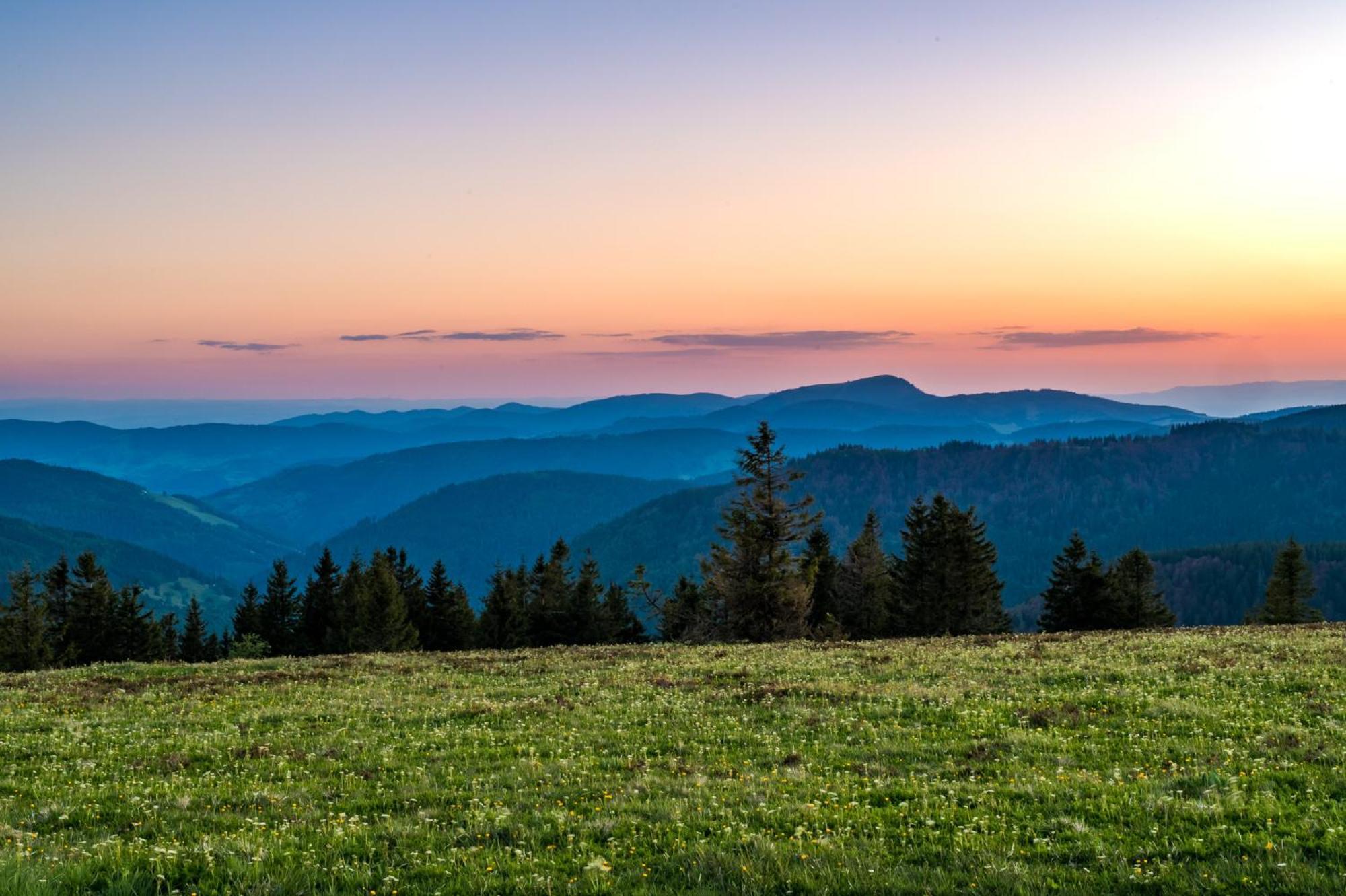 Апартаменты Residenz Grafenmatt "Abendsonne", Feldberg Rinken Экстерьер фото
